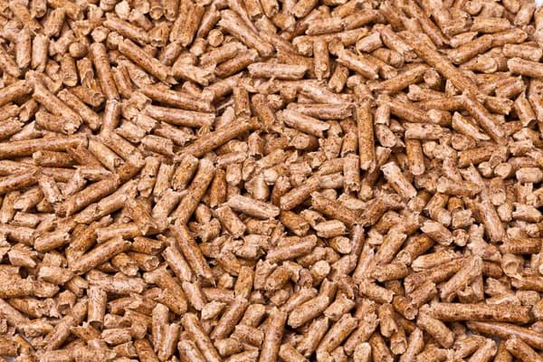 Wood Pellets product close-up for export buyers